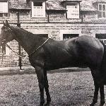 Highclere - Highclere i Highbrow