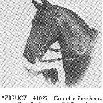 Zbrucz