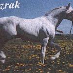 Prizrak