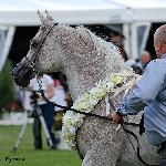 Euspira - Euspira 2016<br />&copy; Anna Pyzara-Nakoniechnaia
