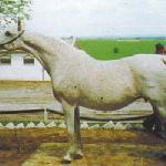 Ejnia