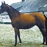 Ekspertyza