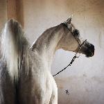 Eudora<br />&copy; Stuart Vesty