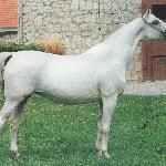 Walkiria