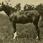 Hanover