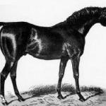 Touchstone