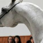 Zagrobla<br />&copy; Anette Mattsson