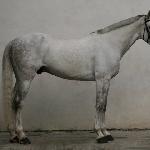 Epizod M<br />&copy; Paulina Sułowska