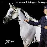 Bajada - Bajada 2005<br />&copy; Irina Filsinger