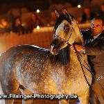 Biruta - Biruta 2012<br />&copy; Irina Filsinger
