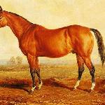Lexington