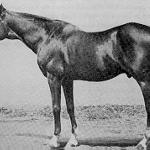 Lexington