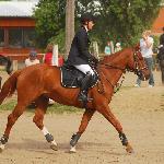 Kurhan<br />&copy; Oliwia Chmielewska