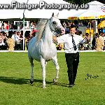 Piwnica - Piwnica 2006<br />&copy; Irina Filsinger