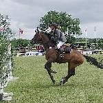 Sandro Silver - CSIO**** Poznań 2005<br />&copy; voltahorse.pl