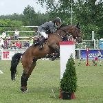 Sandro Silver - CSIO**** Poznań 2005<br />&copy; voltahorse.pl