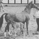 Isolda