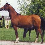 Pasterka