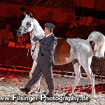 Pereira - Pereira 2008<br />&copy; Irina Filsinger