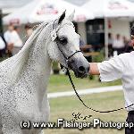Pereira - Pereira 2008<br />&copy; Irina Filsinger
