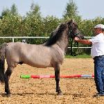 Nabucco