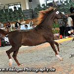 Wyborna - Wyborna 2010<br />&copy; Irina Filsinger