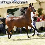 Wkra - Wkra 2005<br />&copy; Irina Filsinger