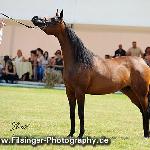Wkra - Wkra 2011<br />&copy; Irina Filsinger