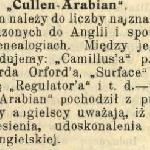 Cullen Arabian<br />&copy; Jeździec i Myśliwy 1915