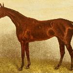 Gladiateur