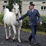 Filipinka - 19.10.2023 SK Białka<br />&copy; Anna Pyzara-Nakoniechna