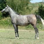 Diagnoza ex. Kropka<br />&copy; Wisnicz
