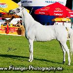 Fraskata - Fraskata 2006<br />&copy; Irina Filsinger