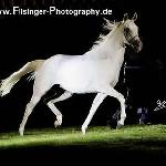 Fuzja - Fuzja 2005<br />&copy; Irina Filsinger