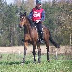 Bazylik - ZO-F Gieniusze, 23-25.04.2010r.
