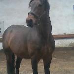 Moravia