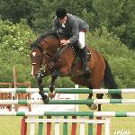 Viscount<br />&copy; Zofia Halina Jezierska