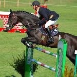 Caballus Z - ZO*** Bogusławice 2009<br />&copy; Oliwia Chmielewska