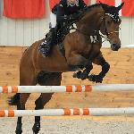 Pi Quatorze - CSI Leszno 15.11.2009<br />&copy; Katarzyna Boryna