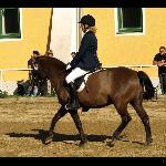 Patyna / Platyna - Stadl-Paura, Austria 2009r.<br />&copy; Katarzyna Wrześniak