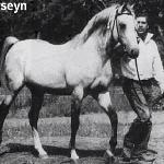 Ferseyn