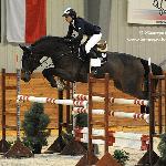 Capri - CSI *** Leszno 15.11.2009<br />&copy; Katarzyna Boryna