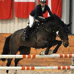 Capri - CSI *** Leszno 15.11.2009<br />&copy; Katarzyna Boryna