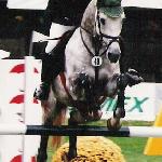 Lumpi - finały Championatów Młodych Koni - Legia Warszawa 2001r
