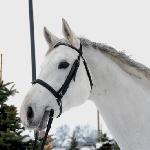 Carolus I