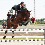Rovetto<br /><i>http://interhorse.pl/wp-content/uploads/2018/06/rovetto3.jpg</i>