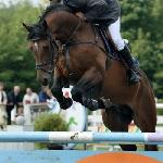Colox Cup