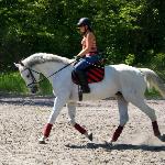 Liberado<br /><i>dodane przez bastylia99</i>