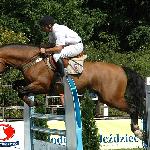 Cajero - Mistrzostwa Polski Młodych Koni w Skokach 2005