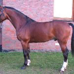 Cajero
